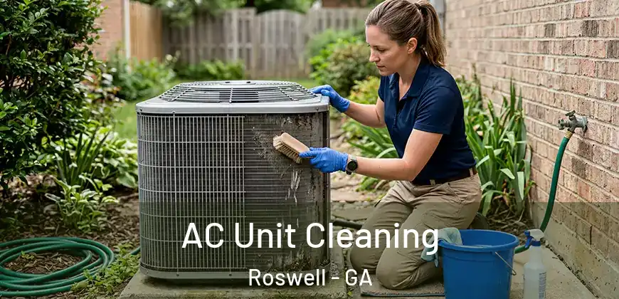 AC Unit Cleaning Roswell - GA